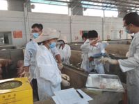 江门市畜牧兽医学会组团强化训练迎接全省动物防疫职业技能竞赛