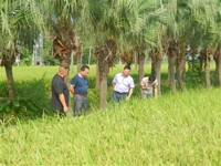 江门市农学会组织专家前往新会区三江镇科技服务站指导晚稻种植