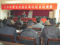 紫金县科协举办紫金春甜桔栽培技术培训班