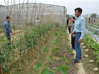 汕头市澄海区列高蔬菜种子研究会积极开展科普惠农工作