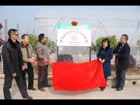 惠州市惠阳区举行农村科普示范基地授牌仪式