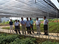 肇庆市科协到怀集县调研科普示范基地