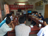 省专家助力梅州平远县慈橙黄龙病防控工作