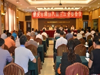 陈义当选肇庆市科协第八届委员会主席