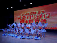 佛山市首次举办社会组织建设成果展示会