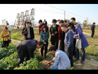 中国科协、中国农科院专家一行到惠东县调研科普惠农兴村工作