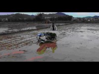 河源市和平县举办机械化插秧技术演示会