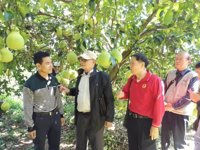 梅州市离退休科技工作者协会组织有关专家开展科技调研与交流活动