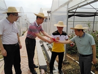 惠州市惠阳区科协到六谷裕兴基地调研