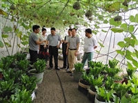 惠州市惠阳区科协到科普教育基地调研