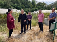 肇庆市科协筹备第三届人才节之“广东青年科学家科技志愿服务活动”