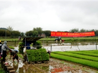 和平县农学会举办水稻生产全程机械化演示会