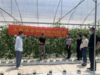 陆河县科协开展科技下乡活动