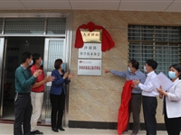 茂名市电白区沙琅镇成立科协助力防控和复工生产服务