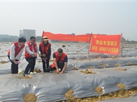 清远市清新区科协举办香瓜直播“云课堂”解疫情春耕之困