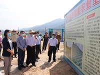 肇庆市科协开展2020年市级“基层科普行动计划”项目调研工作