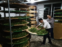 饶平县基层科技工作者再获殊荣