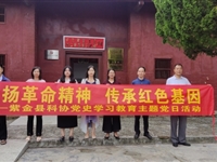 紫金县科协开展党史学习教育主题党日活动