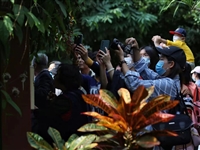 28个科技工作者家庭在穗感受“过年科普”自由行