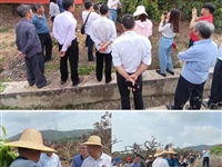 饶平县科协带专家进果园办实事解难题