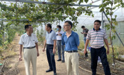 茂名市科协到科普示范基地调研助力乡村振兴