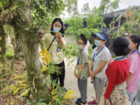 深圳市罗湖区举办深港抗疫青年及跨境学子兰花科普游园会