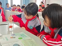 云浮市云安区举办小学科学实验教学观摩与研讨活动