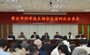 肇庆市科协召开九届四次全会 黄梅芬当选市科协主席