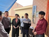 茂名化州市科协出席化州市绿色香蕉生产者协会换届工作会议并到宝圩镇开展调研