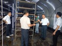 肇庆市科协主要领导赴怀集开展科普调研暨走访科技工作者