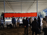 清远市科协开展“科技下乡”活动助力杨梅镇乡村振兴产业发展