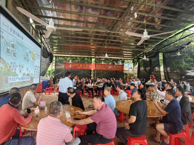 茂名市电白区科协联合举办荔枝龙眼栽培技术培训班