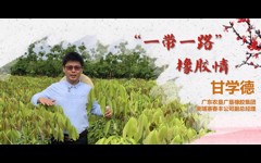 先进事迹报告会丨甘学德：“一带一路”橡胶情
