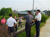 中国科协农技中心副主任张晓军考察广东科普惠农项目