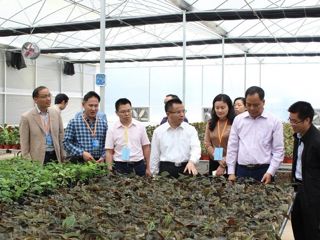 广东青年科学家赴云浮市开展人才对接与科技服务