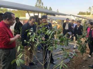 省政协副主席黄武调研西塘乡村振兴工作