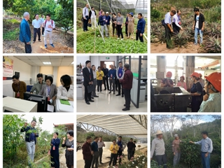 广东中青年科学家赴云浮开展科技志愿服务活动