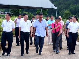 省科协调研组前往河源市连平县调研科技助力乡村振兴工作