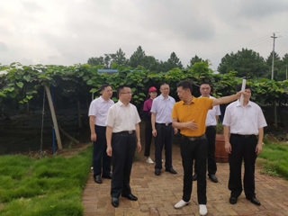 省科协领导到乐昌市调研科技助力乡村振兴工作