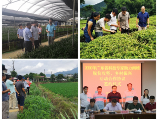 广东中青年科学家赴韶关开展乡村振兴人才对接科技志愿服务活动