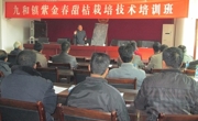 紫金县科协举办紫金春甜桔栽培技术培训班