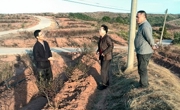 东源县科协调研船塘镇蓝莓生产基地