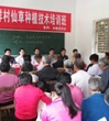 梅州市丰顺县科协举办仙人草种植培训活动