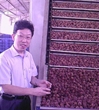 惠州市科协党组书记、主席邹平生到惠东四季鲜绿色食品有限公司调研