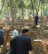 国家现代农业（蜂）产业技术体系专家团到惠州市龙门县考察