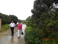 汕尾市陆丰市科协科普惠农服务到果园