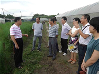 江门市政协副主席赵树培到塘口镇开展科普示范镇街创建工作调研