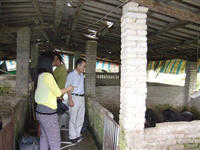 汕尾市陆河县科协开展技术下乡活动