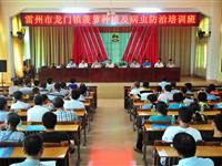 雷州市举办菠萝种植和病虫害防治灾后复产培训班