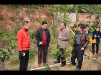 肇庆市科协到城区基层看望慰问科技工作者